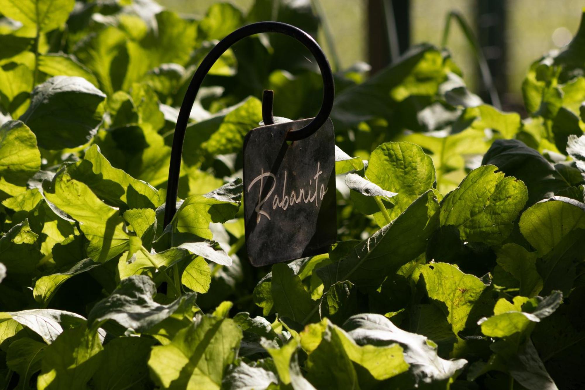 El Colibri - Relais & Chateaux Santa Catalina  Dış mekan fotoğraf
